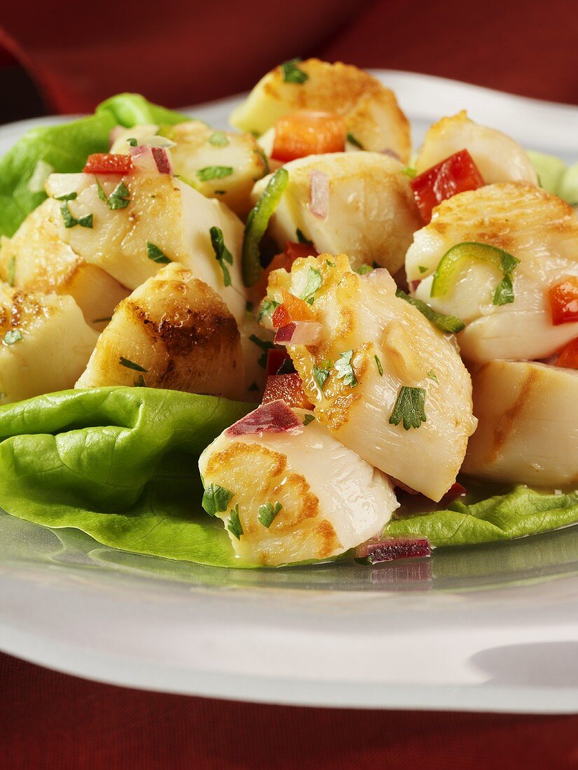 Gebratene Jakobsmuscheln auf Salatbett