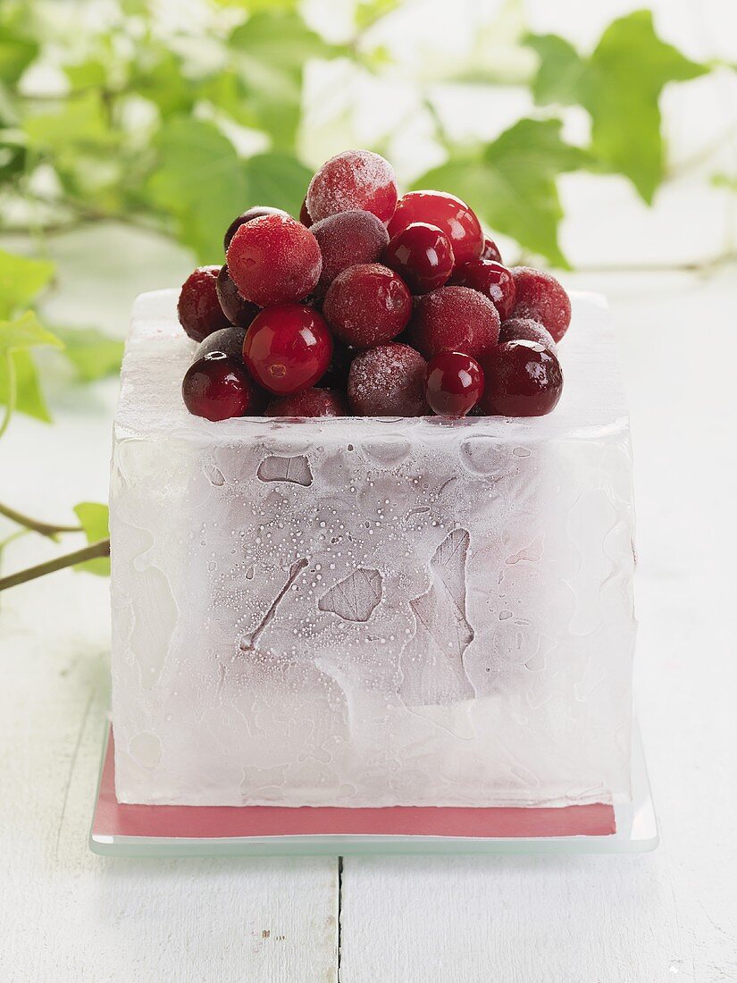 Frozen cranberries in an ice bowl