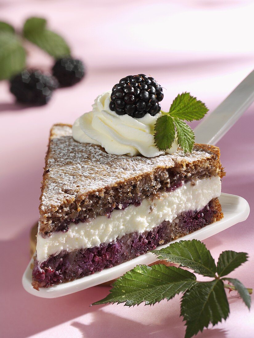 A piece of blackberry cake