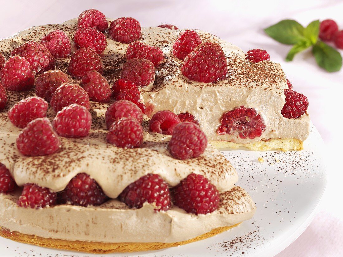 Raspberry cream cake with chocolate cream