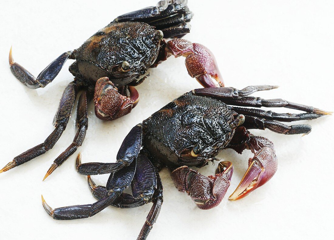 Two crabs (Thailand)