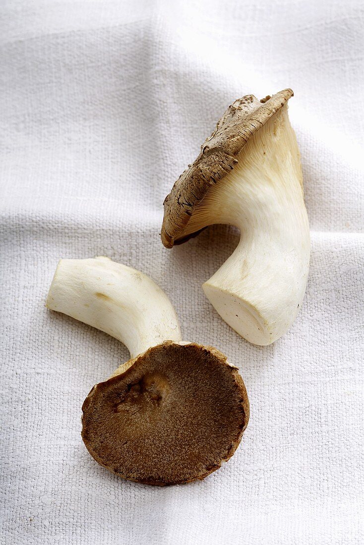 Two king oyster mushrooms