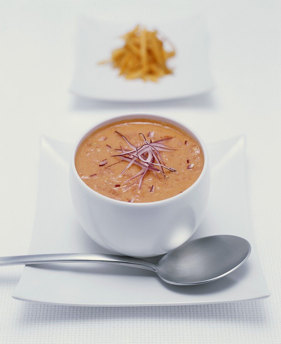 Cream of carrot soup with red onions