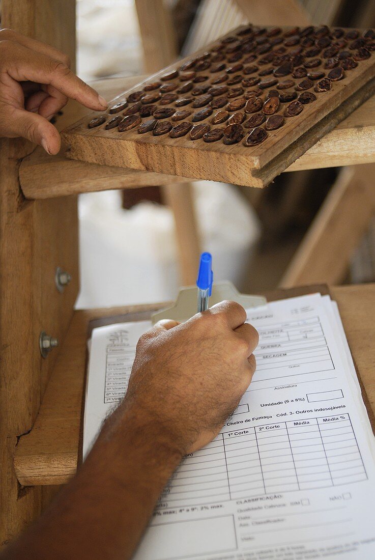Noting the results of a quality test on cocoa beans