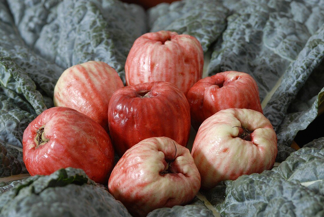 Rote Javaäpfel in Kohlblättern