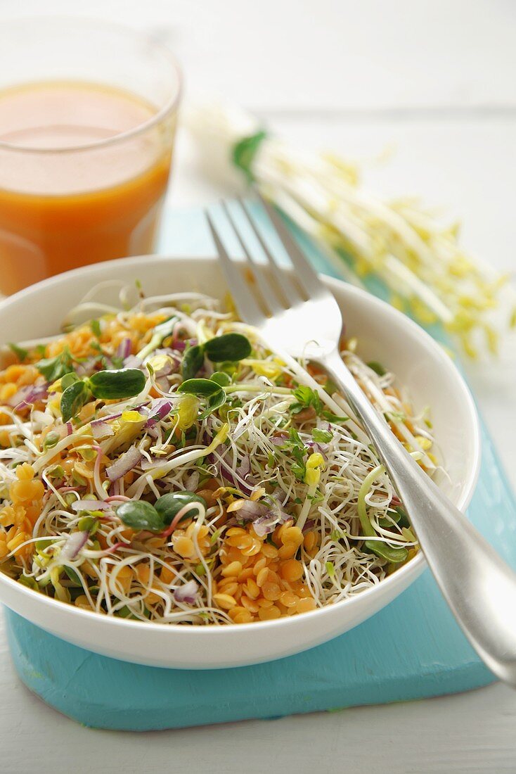 Lentil salad with sprouts