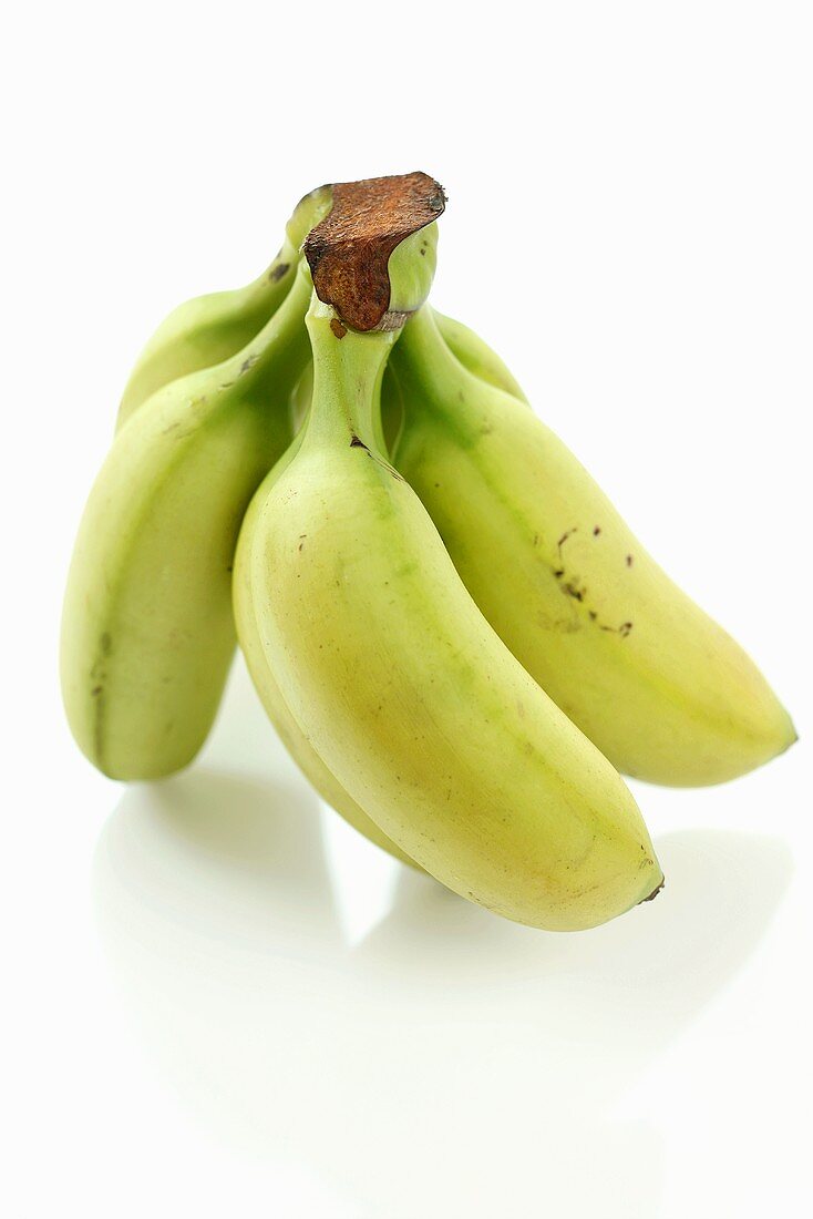 Kleine Bananenstaude