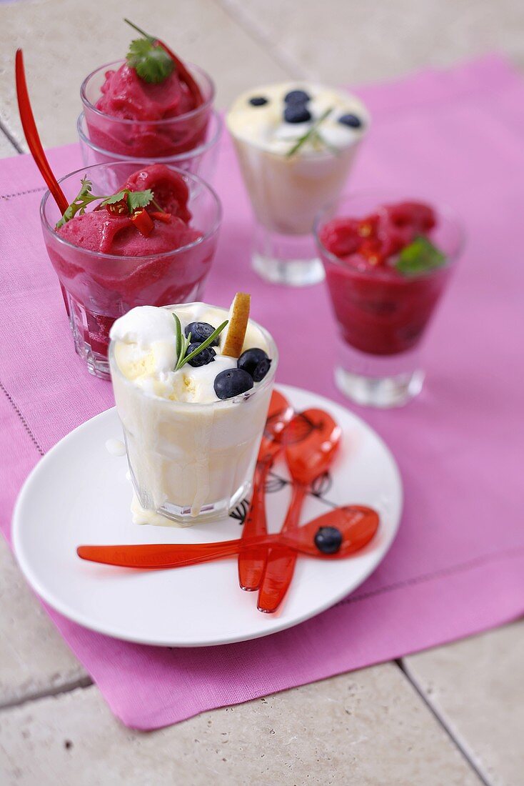 Raspberry sorbet and vanilla ice cream with blueberries