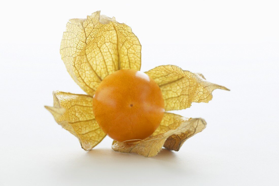 Physalis mit Hülle