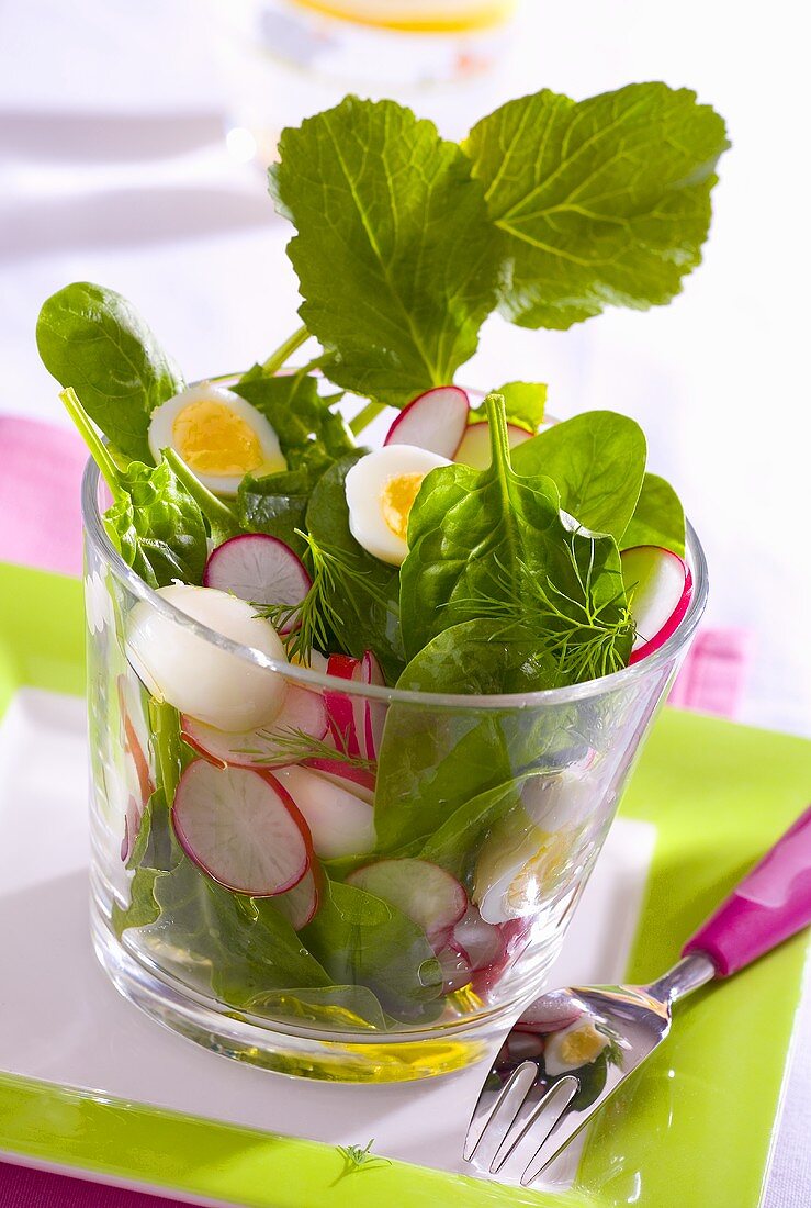 Spring salad with radishes and quail's egg