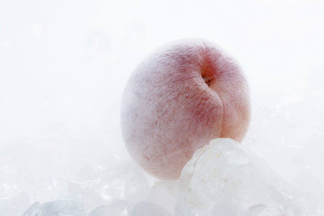 Frozen apricot with ice cubes