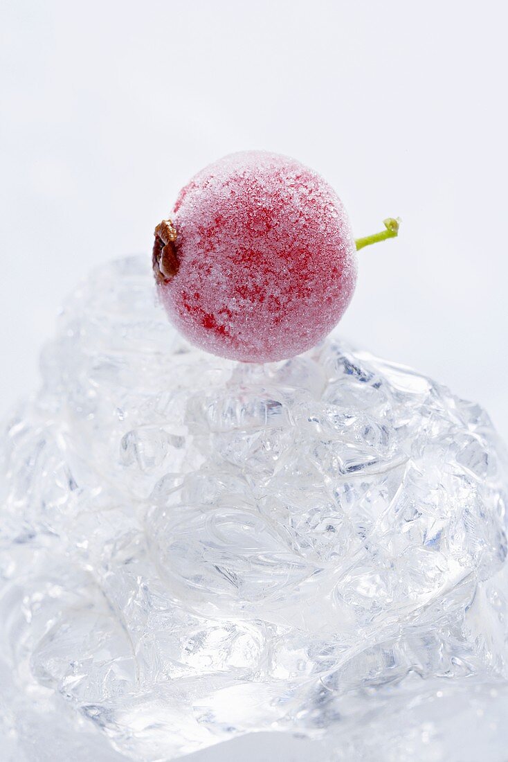 Frozen redcurrant on ice cubes