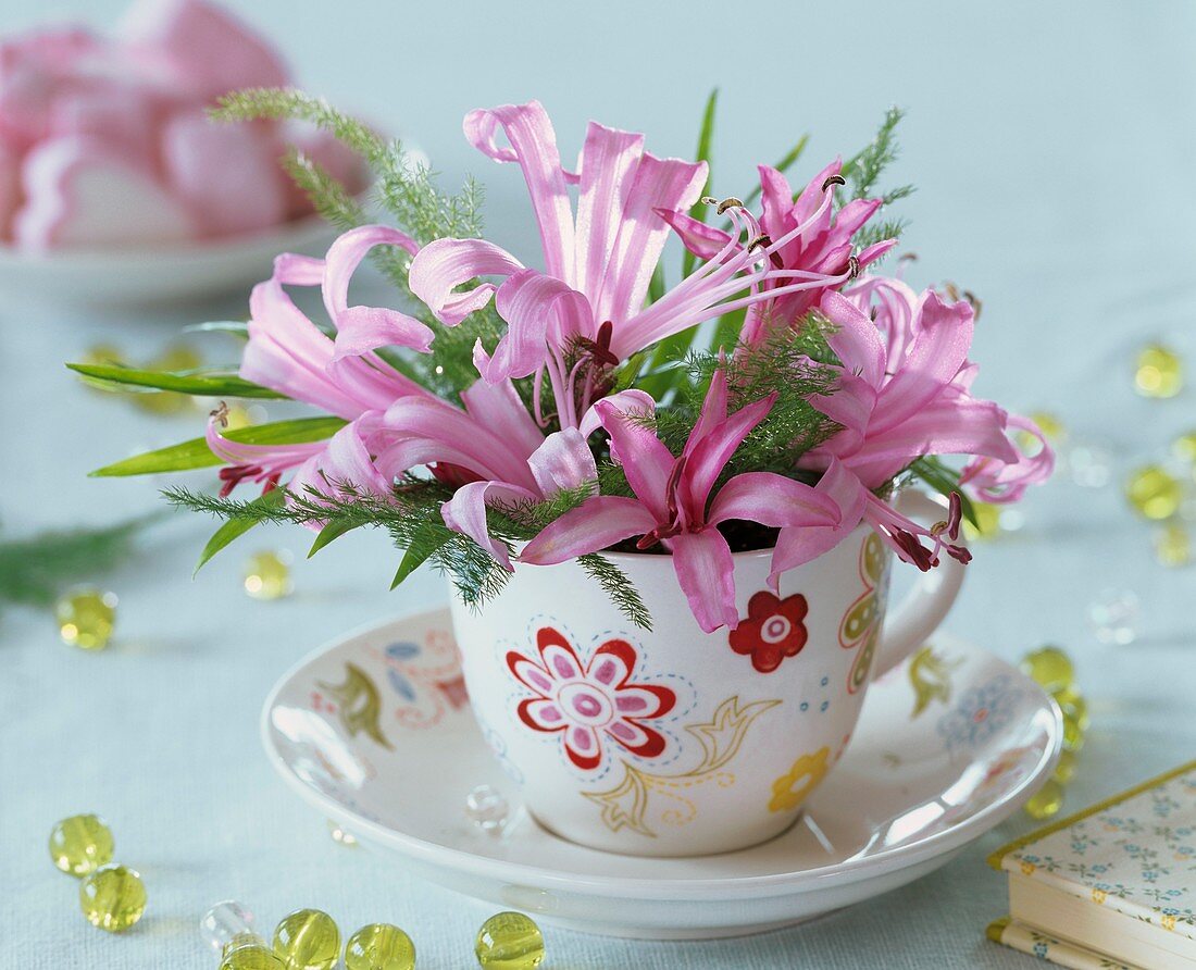 Nerines, asparagus fern and parlour palm in espresso cup