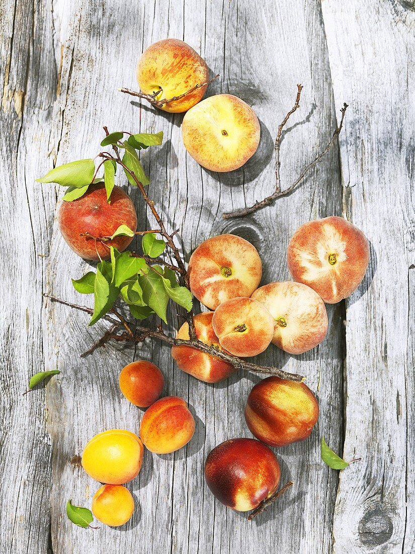 Apricots, peaches and nectarines on wooden background