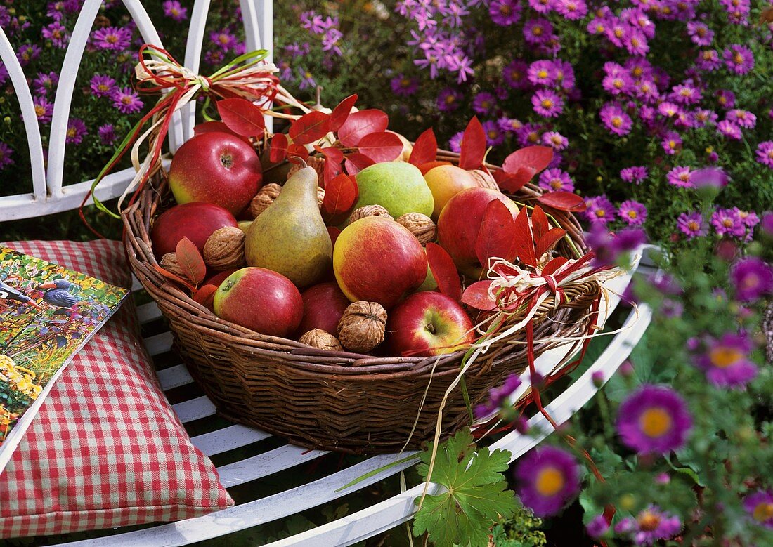 Basket of pears, apples and walnuts on a garden bench