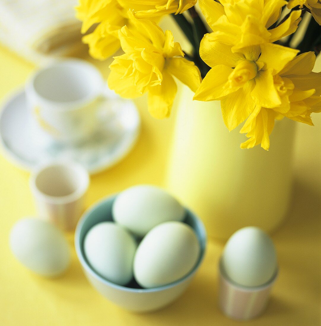 Boiled eggs and vase of daffodils