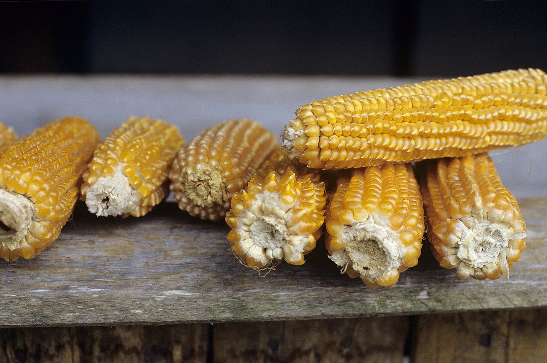 Dried corn on the cob