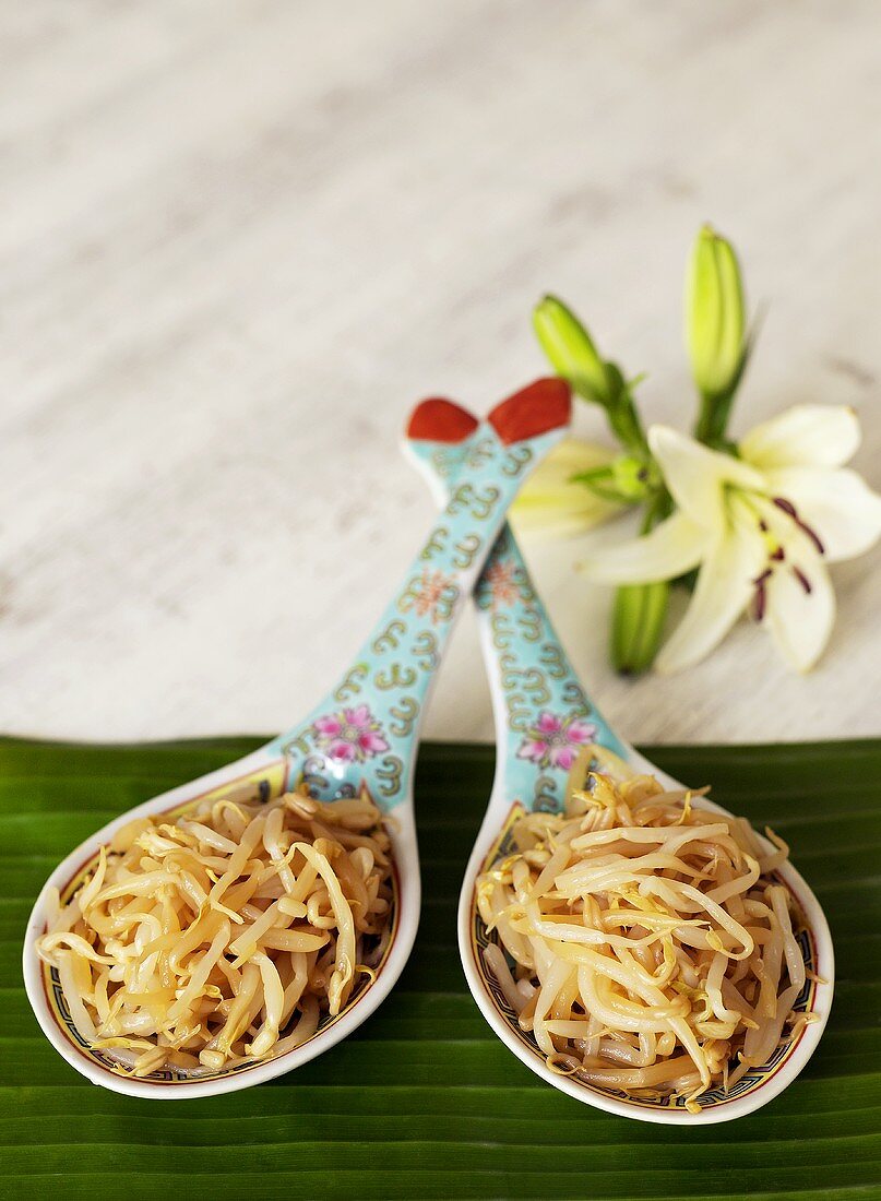 Soya bean sprouts on Chinese spoons