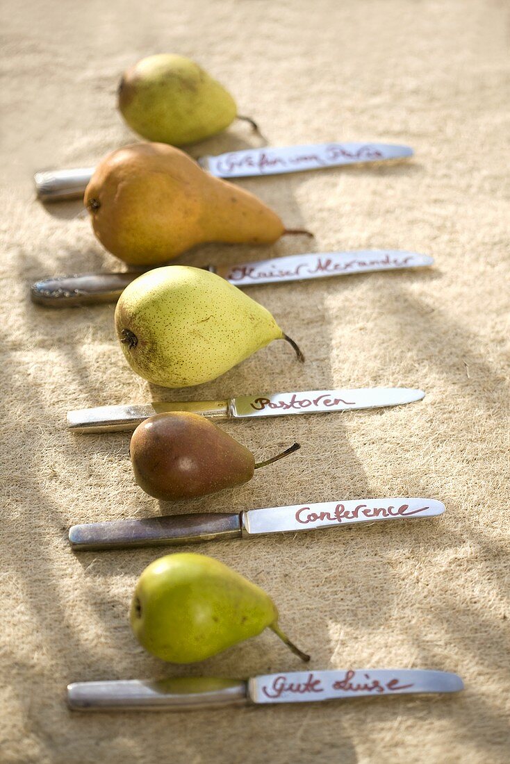 Pears with variety names