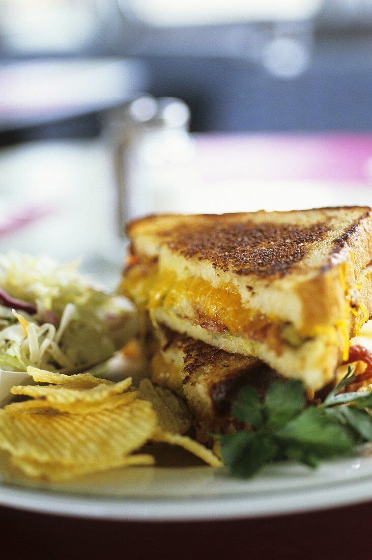 Grilled cheese sandwich, crisps and coleslaw