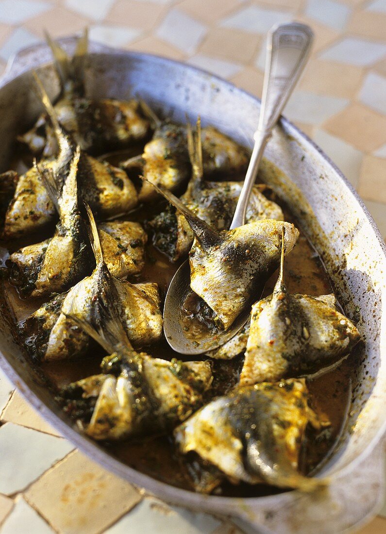 Sardinen mit Chermoula (Marokko)