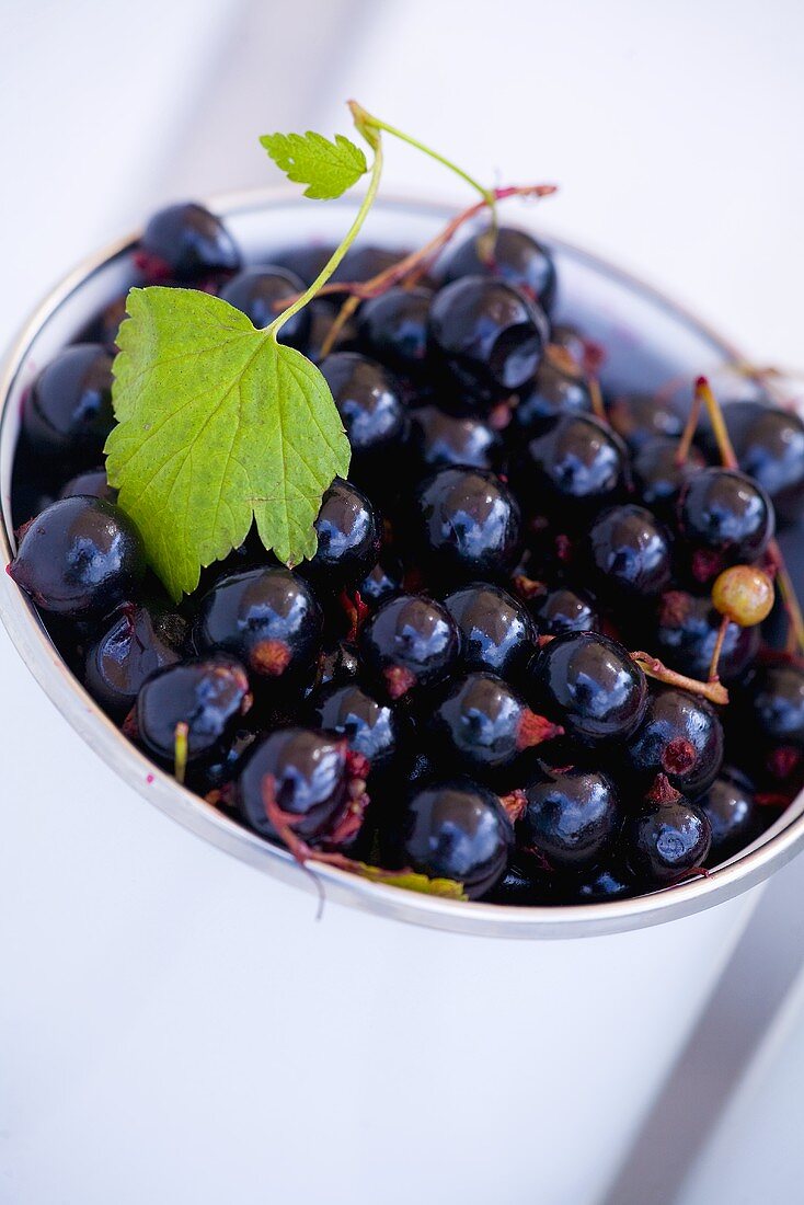 Blackcurrants in a mug