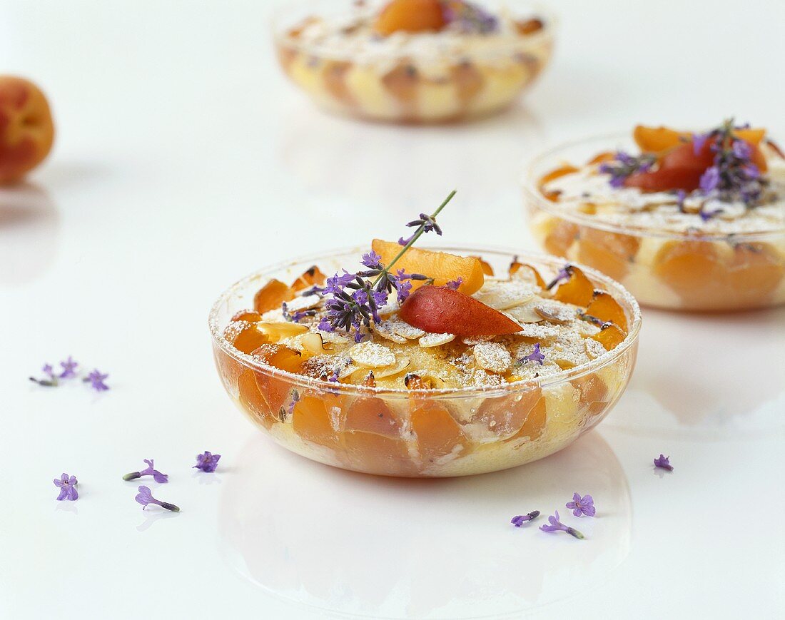 Ricotta and apricot pudding