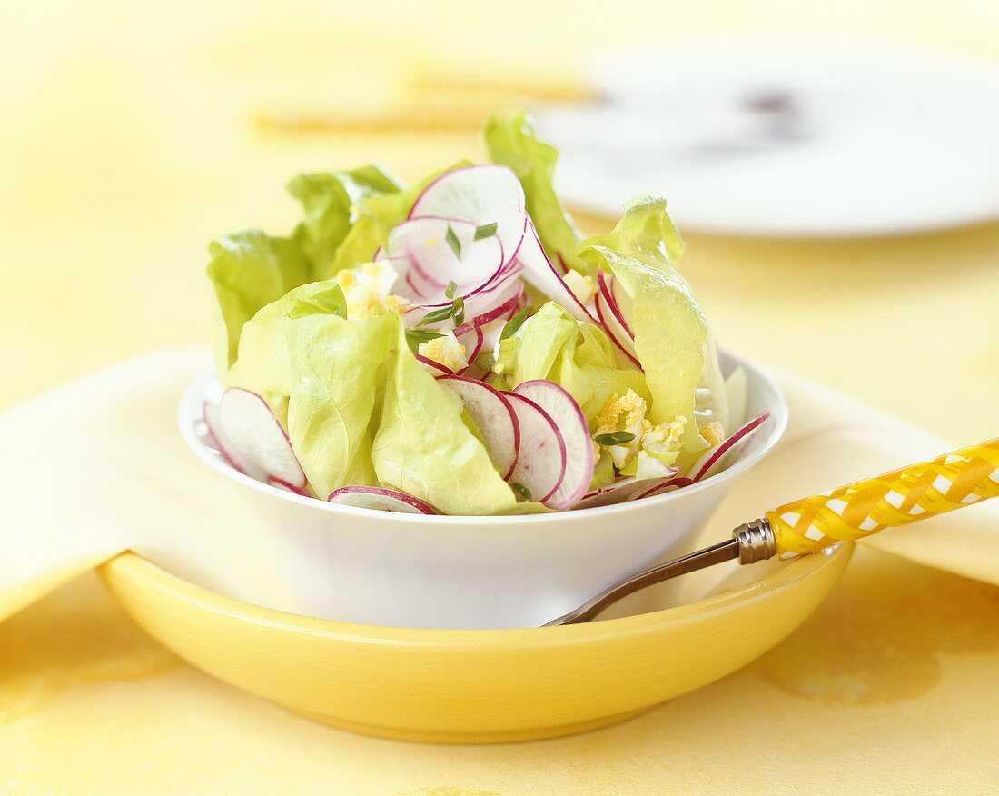 Lettuce with radishes