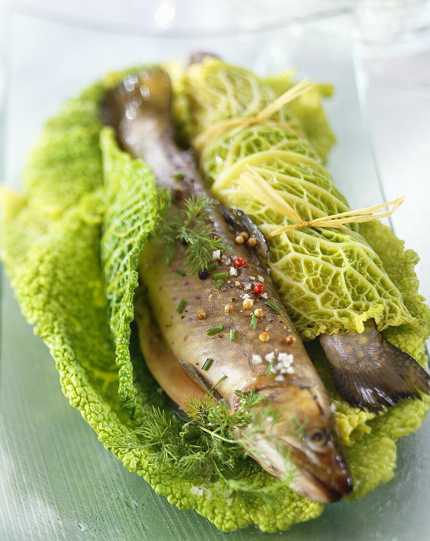 Salmon trout wrapped in savoy cabbage leaves