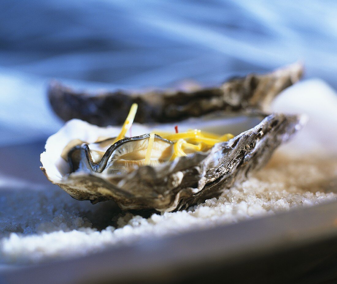Fresh oysters with lemon zest