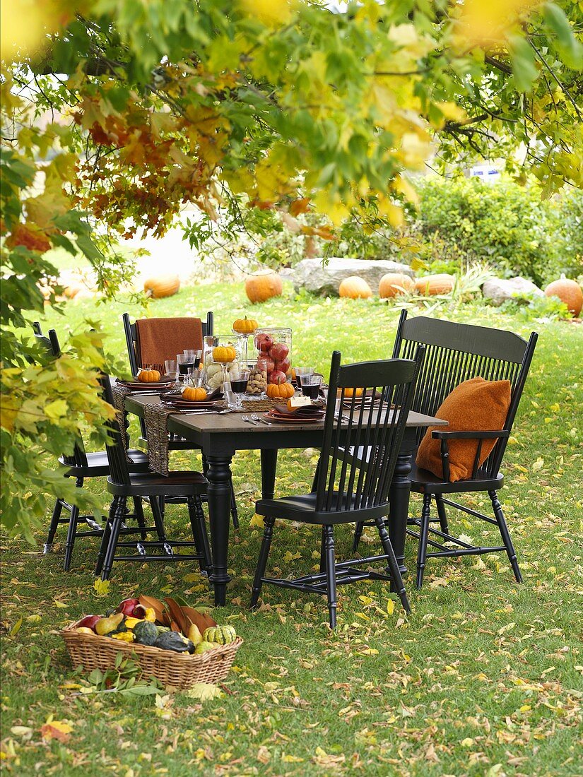 Laid table under a tree (autumn)