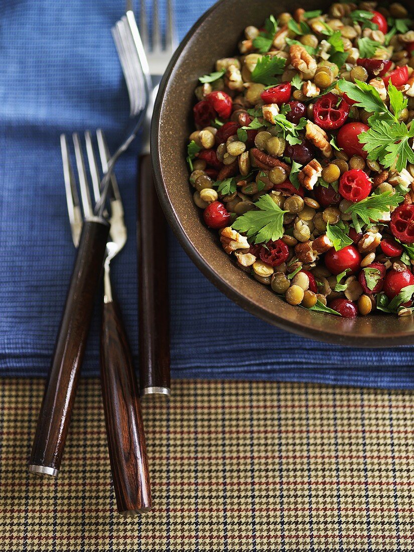 Linsensalat mit Cranberries