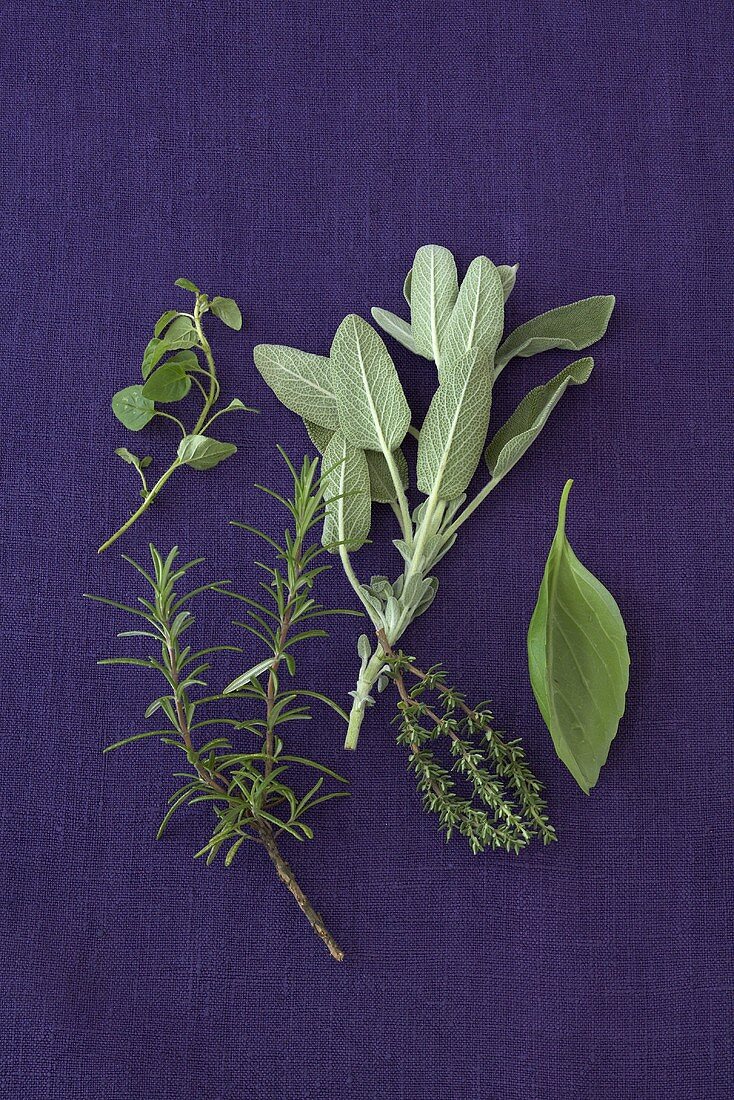 Mediterranean herbs (rosemary, thyme, sage etc.)