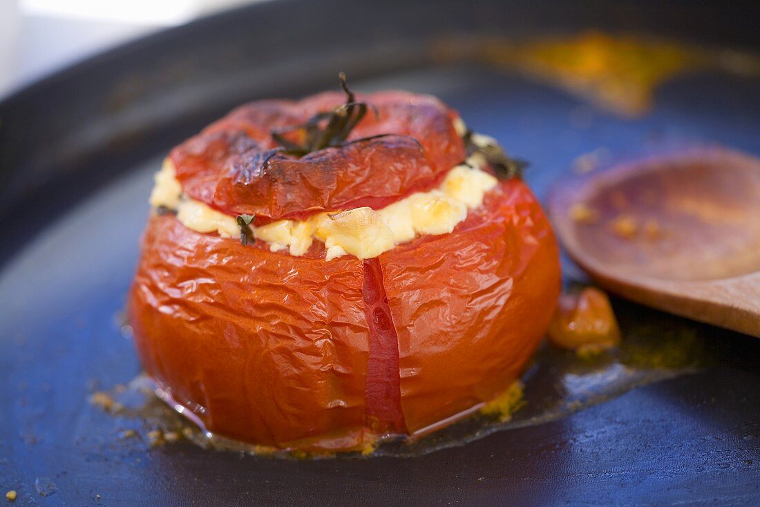 Tomato stuffed with sheep's cheese in a frying pan