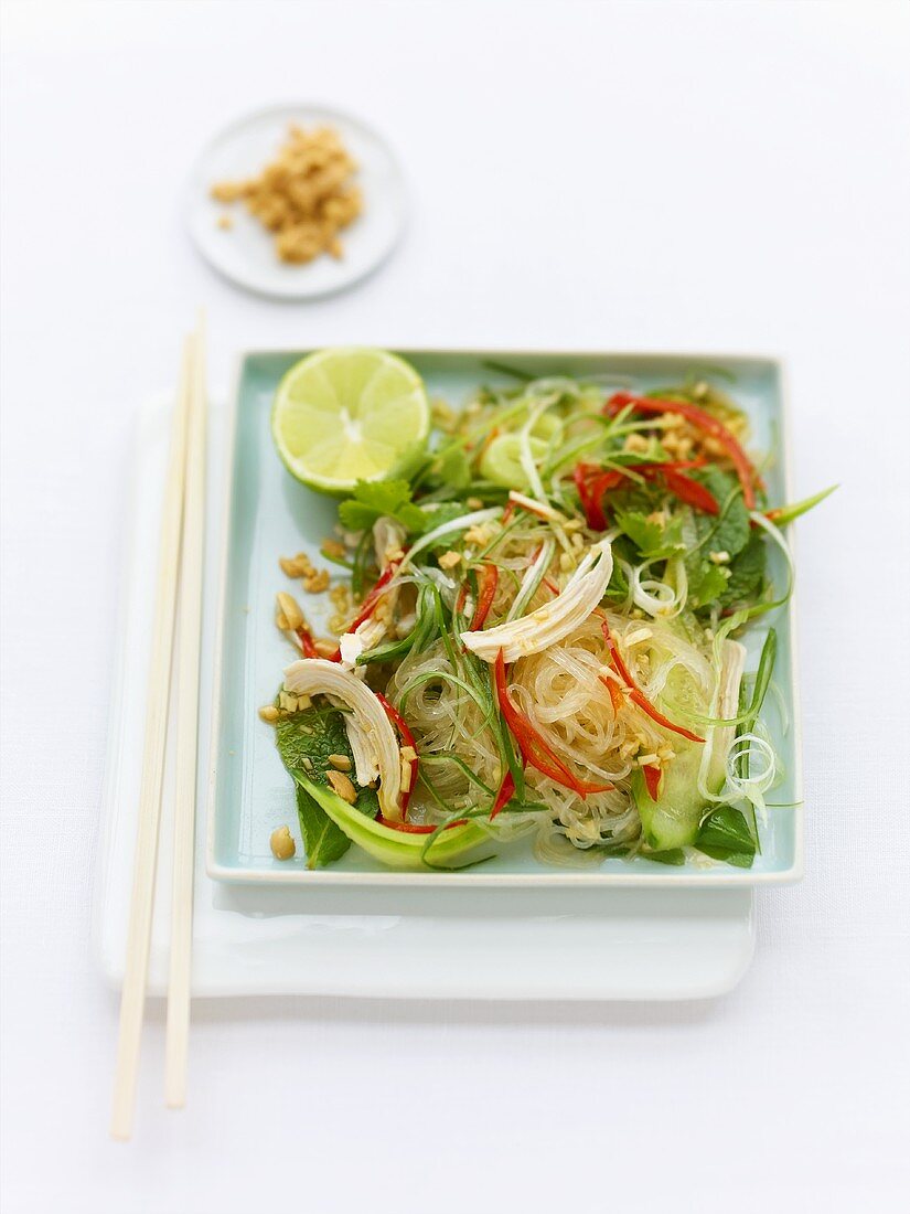 Glass noodles with chicken and mint