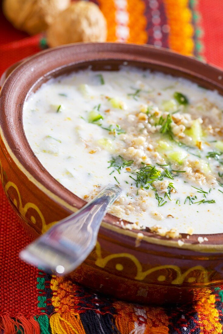 Tarator (Cold yoghurt & cucumber soup with walnuts, Bulgaria)