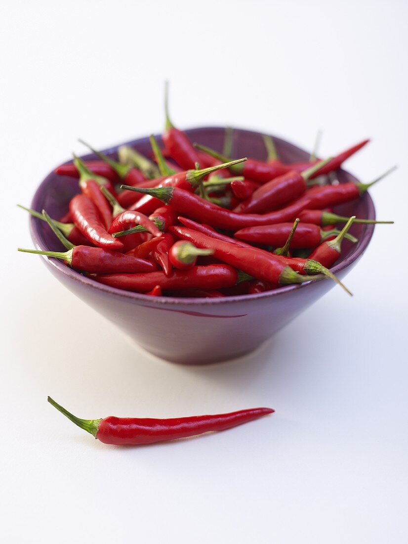 Red chillies in a dish