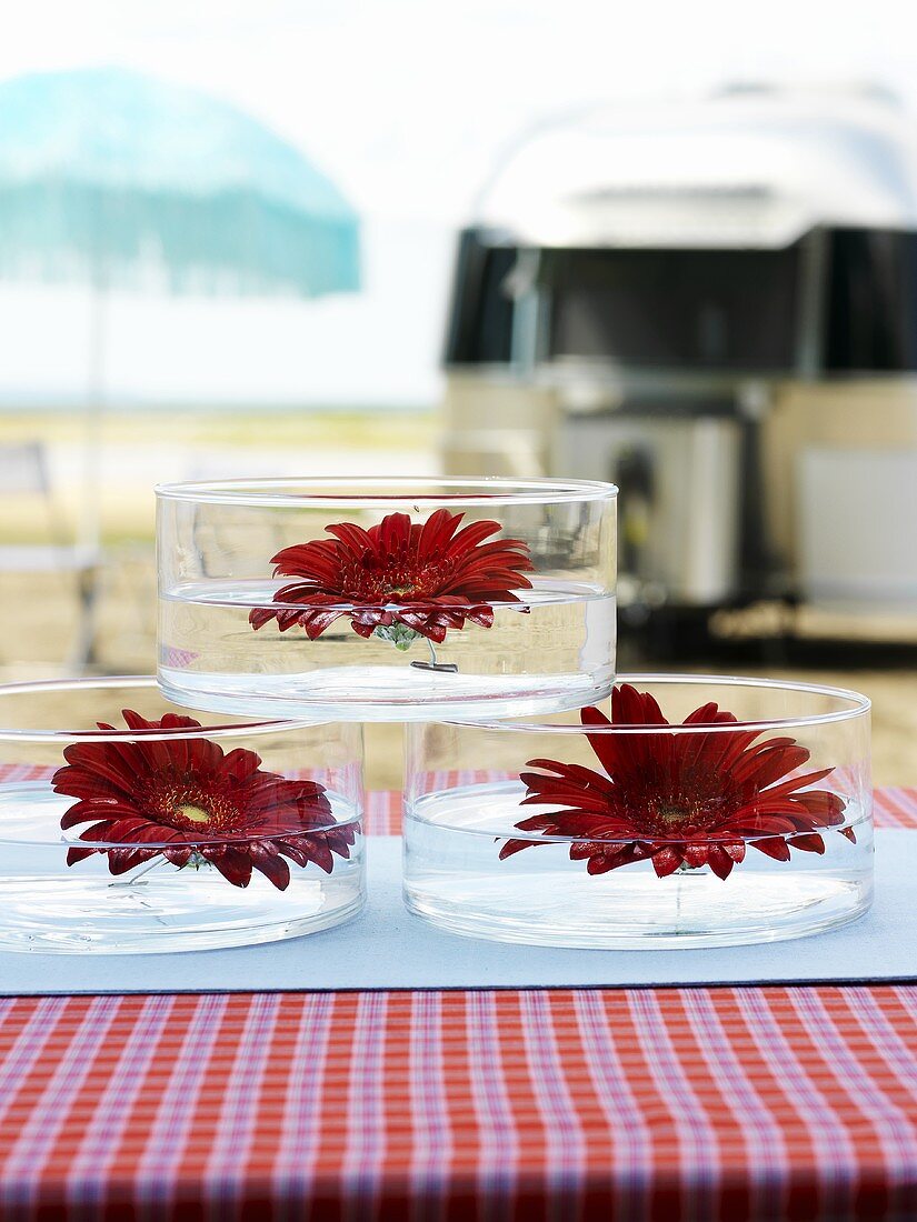 Gerbera flowers floating in small glass bowls