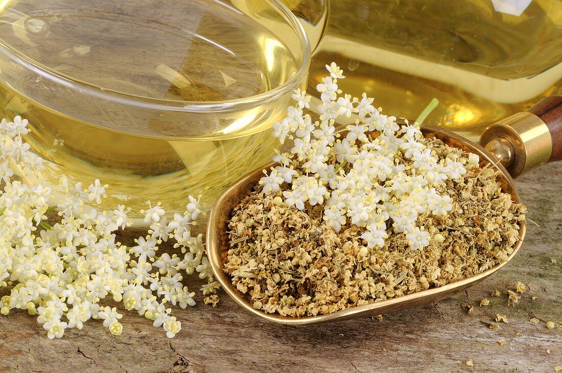 Cup of elderflower tea with fresh and dried flowers