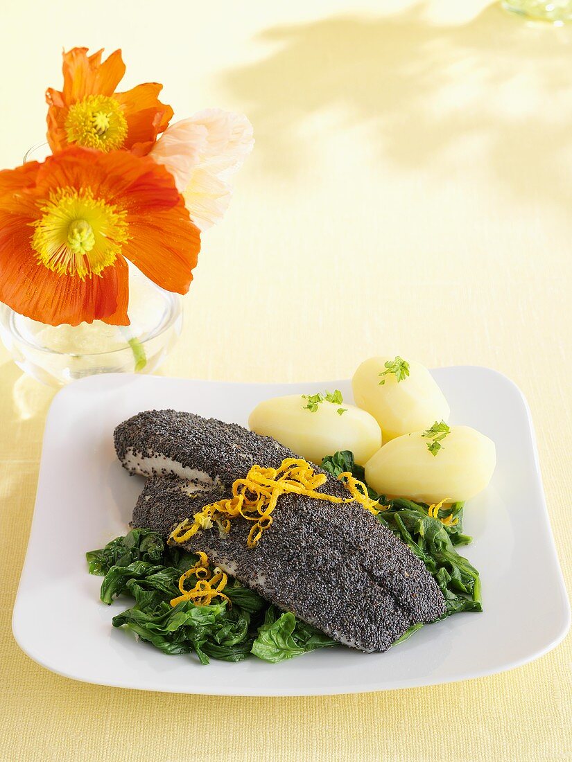 Sole fillet with poppy seed coating, spinach and potatoes