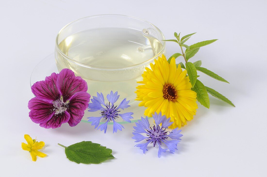 Eine Tasse Kräutertee und frische Blüten