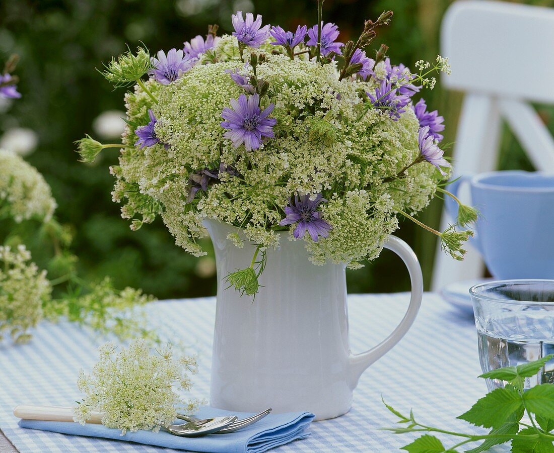 Chicory flowers and cow parsley in a jug