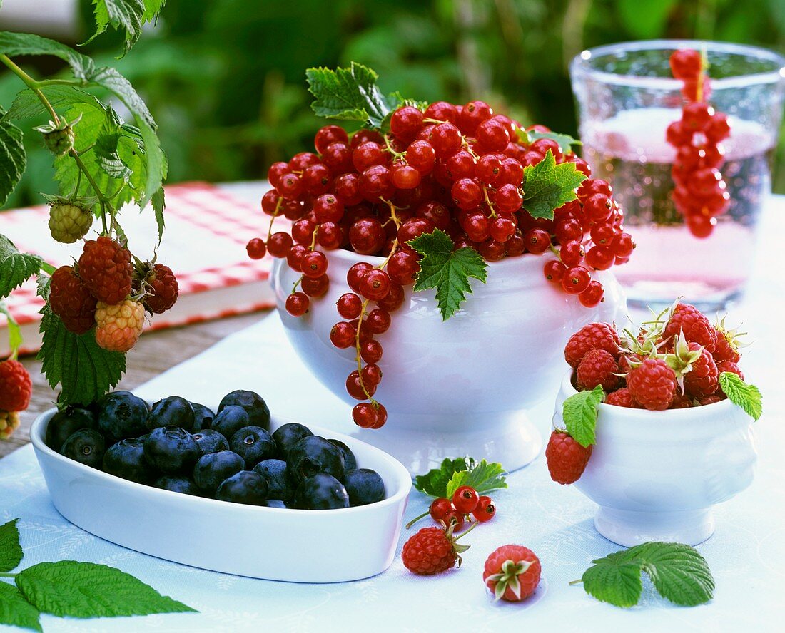 Redcurrants, blueberries and raspberries in bowls