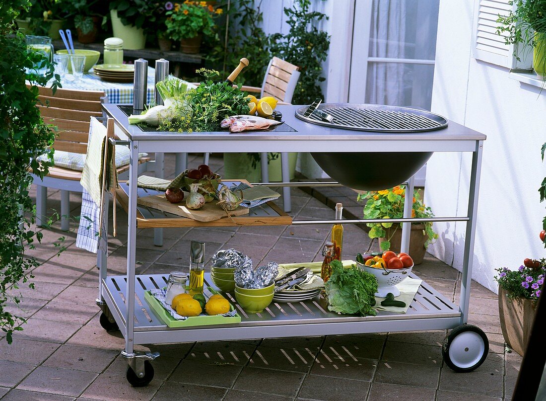 Barbecue trolley with fish, vegetables, tableware etc.
