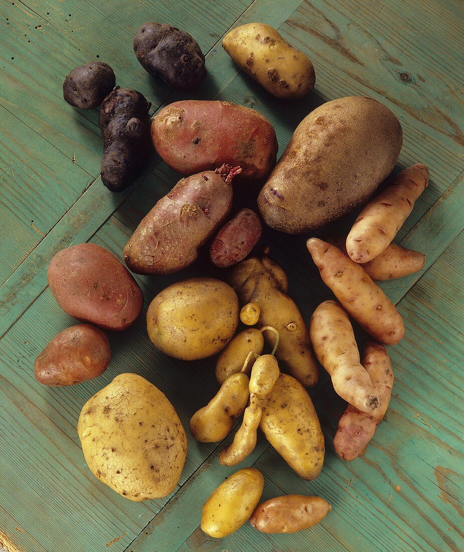 Various varieties of organic potatoes