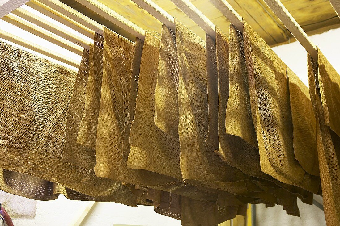 Sheets of hessian hanging up in a cider factory