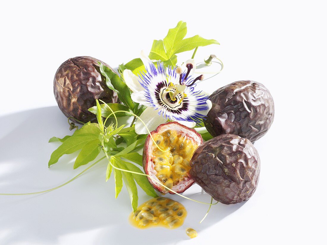 Passion fruit (purple) with passion flower