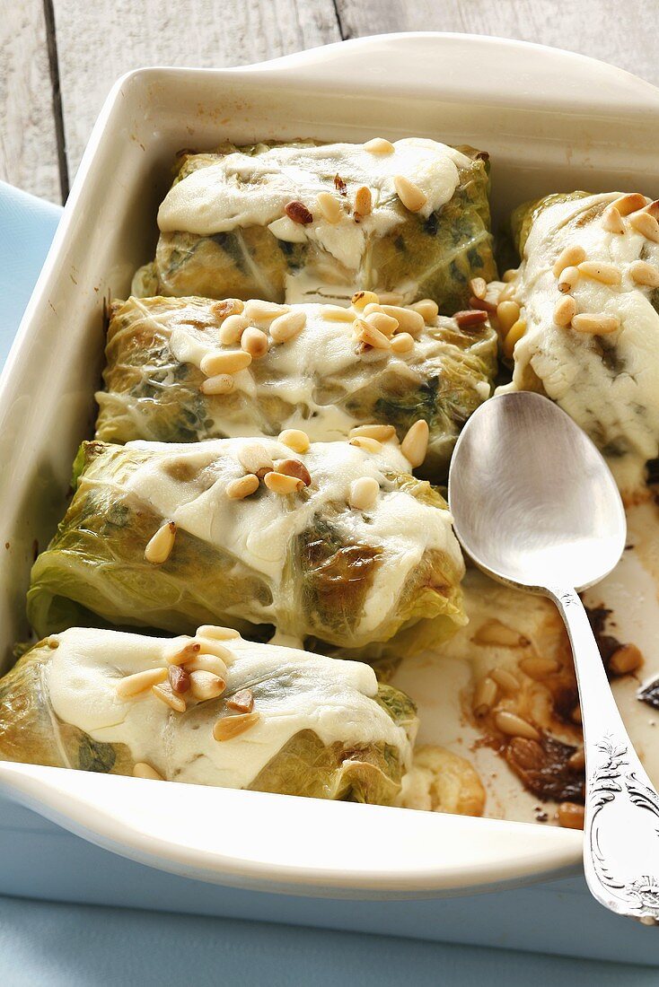 Savoy cabbage leaves stuffed with chicken