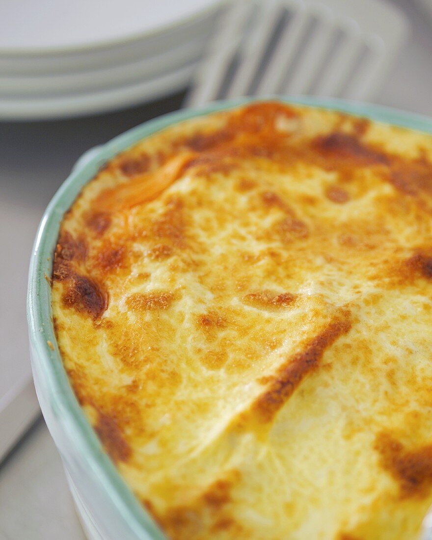 Vegetable lasagne (detail)