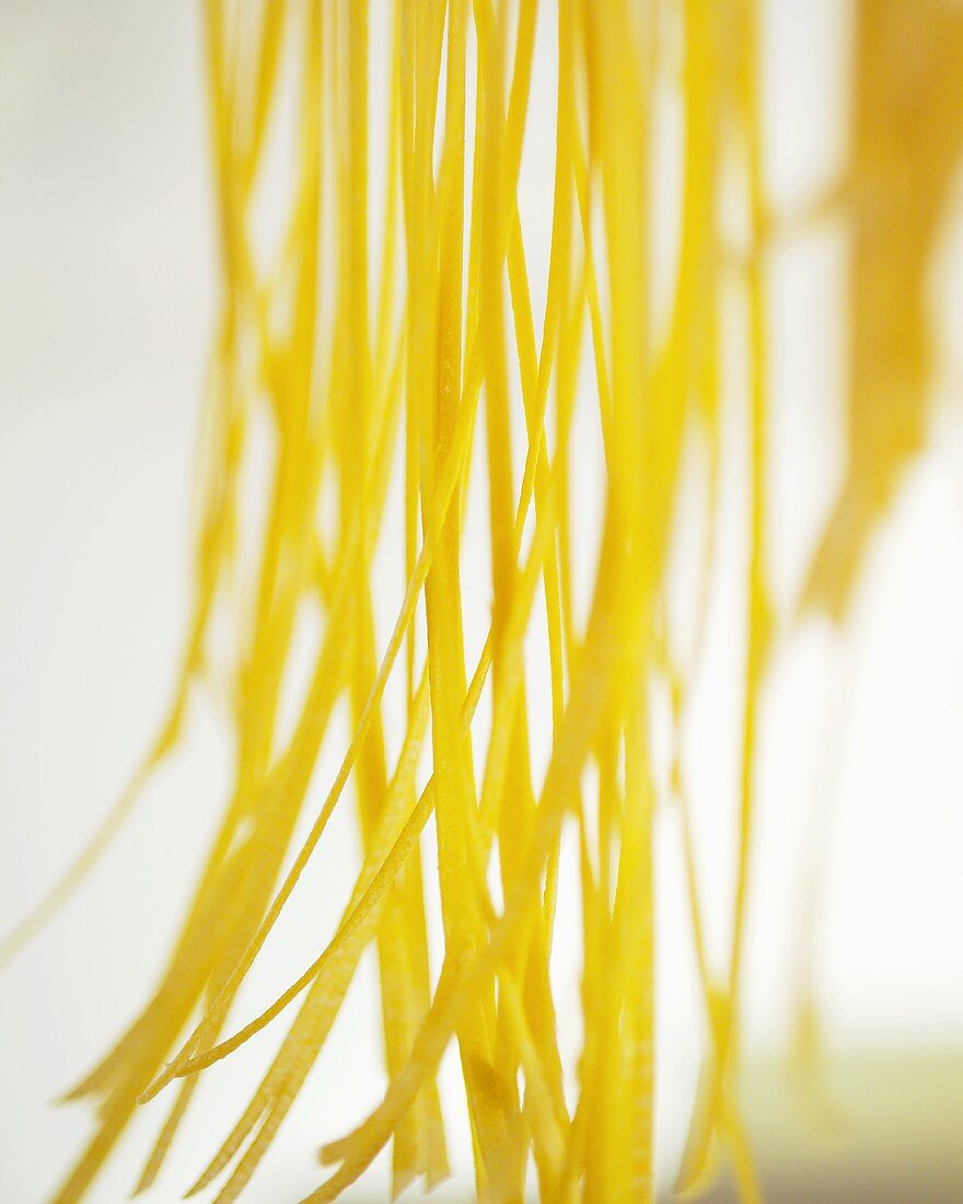 Home-made fettuccine hanging up to dry